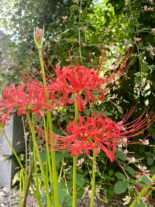 勝念寺(かましきさん)(京都府)
