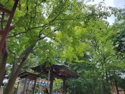 越谷香取神社のその他建物