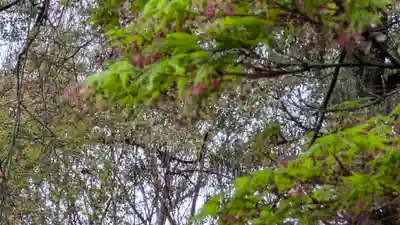 梨木神社(京都府)