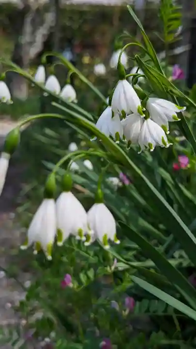 惠心院(京都府)