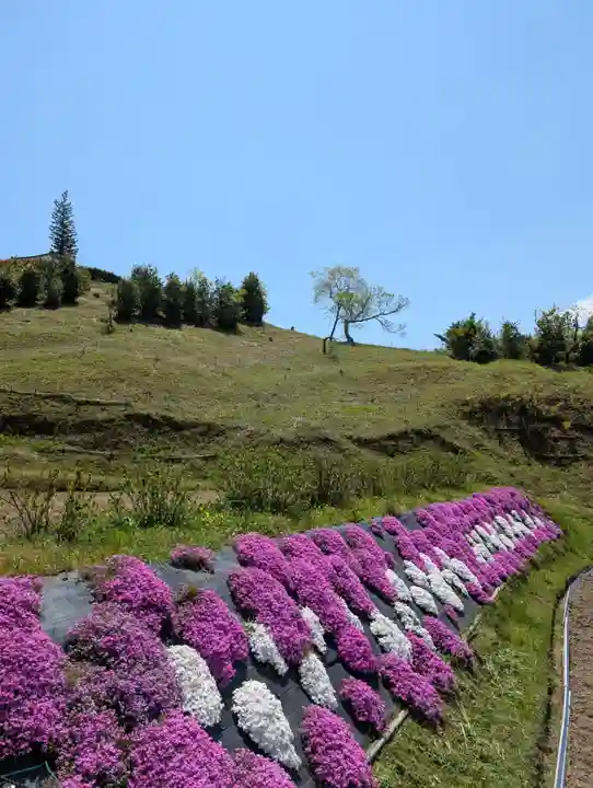 法輪寺(岡山県)