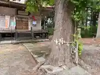 日月神社(秋田県)