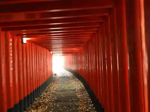 神徳稲荷神社の鳥居