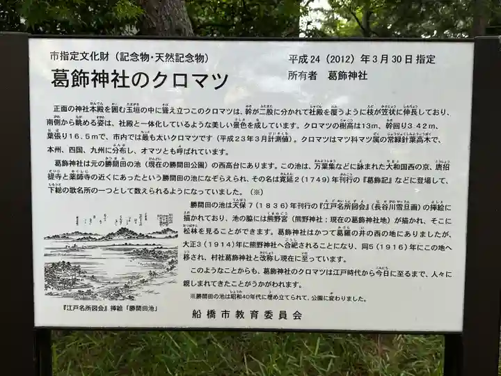 葛飾神社(千葉県)