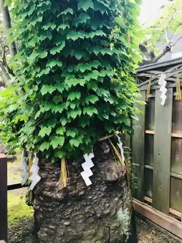 御釜神社の自然