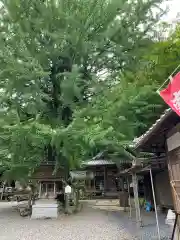 正法寺(滋賀県)