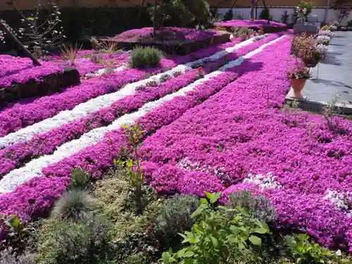 寿量山　速成寺(奈良県)