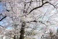 諏訪神社の自然