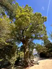 比賣久波神社(奈良県)