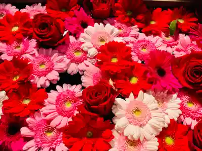 東京大神宮(東京都)