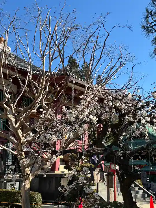 放生寺(東京都)