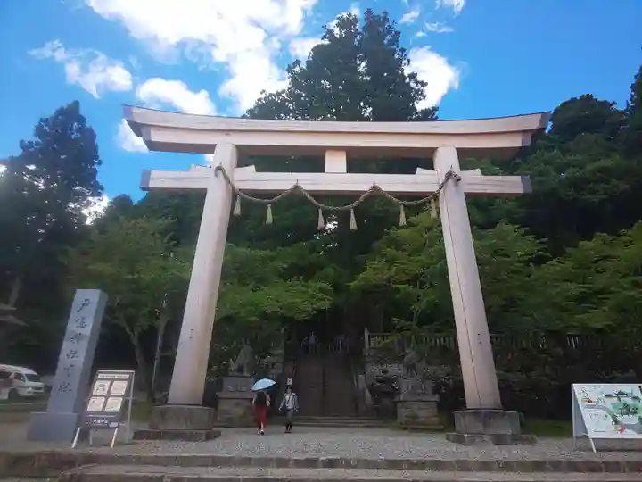 戸隠神社中社の鳥居
