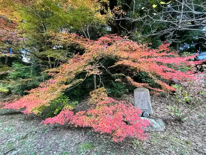 弘川寺(大阪府)