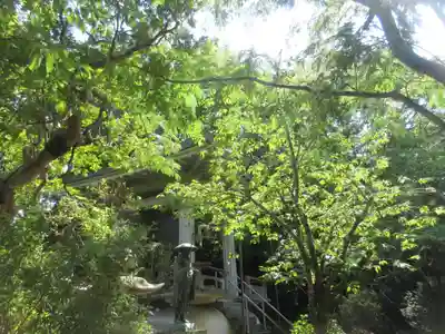 般若院(静岡県)