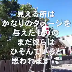 七重浜海津見神社の自然