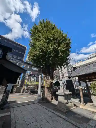 柏神社(千葉県)