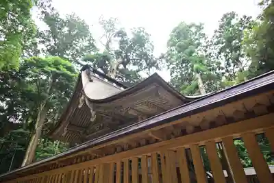 鹿島神宮(茨城県)
