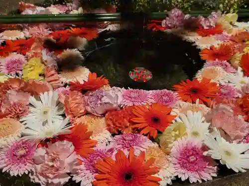 東京羽田 穴守稲荷神社の手水