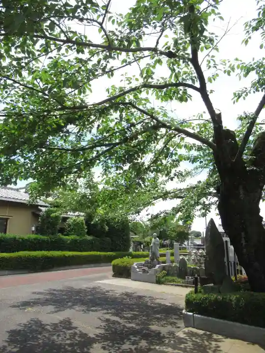 真光寺(千葉県)
