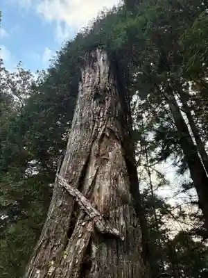 日光東照宮奥宮拝殿(栃木県)