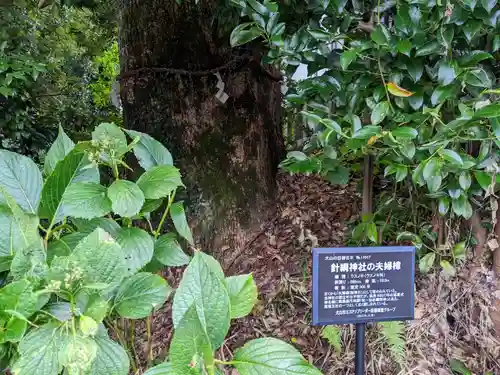 針綱神社の庭園