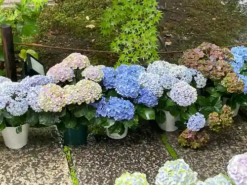 勝林寺(京都府)