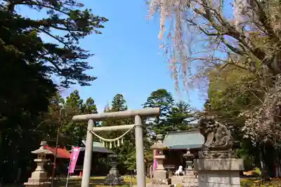 三春大神宮の鳥居
