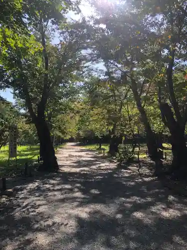 北海道神宮の庭園