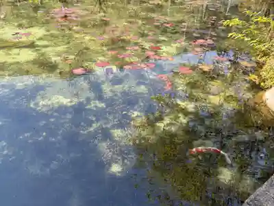 根道神社(岐阜県)
