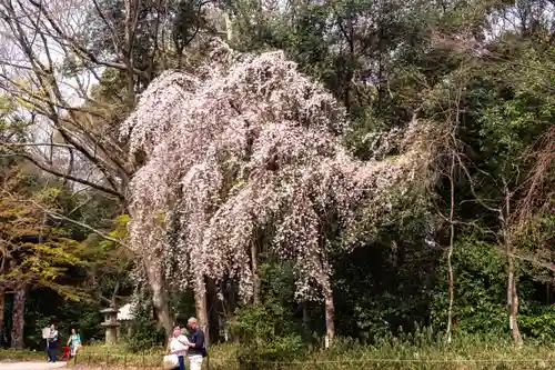 賀茂御祖神社（下鴨神社）(京都府)
