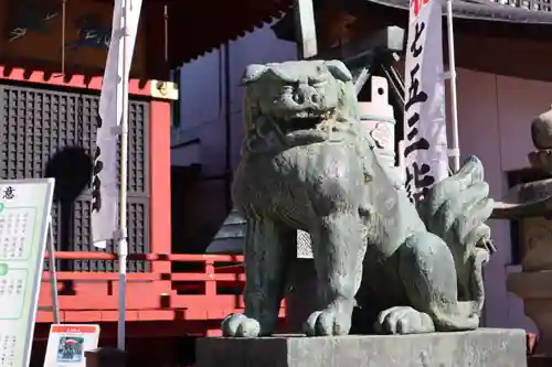 浅草神社の狛犬