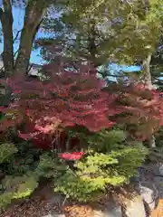 赤城神社(群馬県)