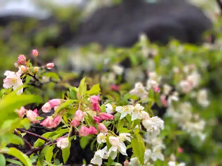 山家神社奥宮の自然