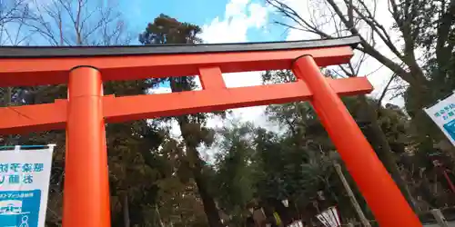 吉田神社の鳥居