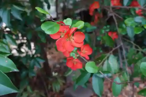 三篠神社(広島県)