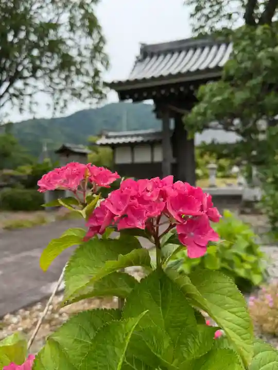 全長寺(滋賀県)