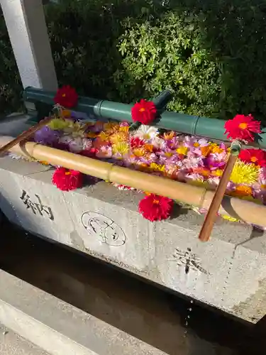 伊和志津神社(兵庫県)