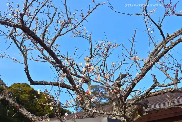 大洗磯前神社(茨城県)