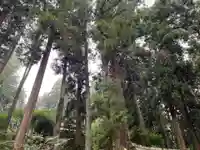 大宮温泉神社(栃木県)