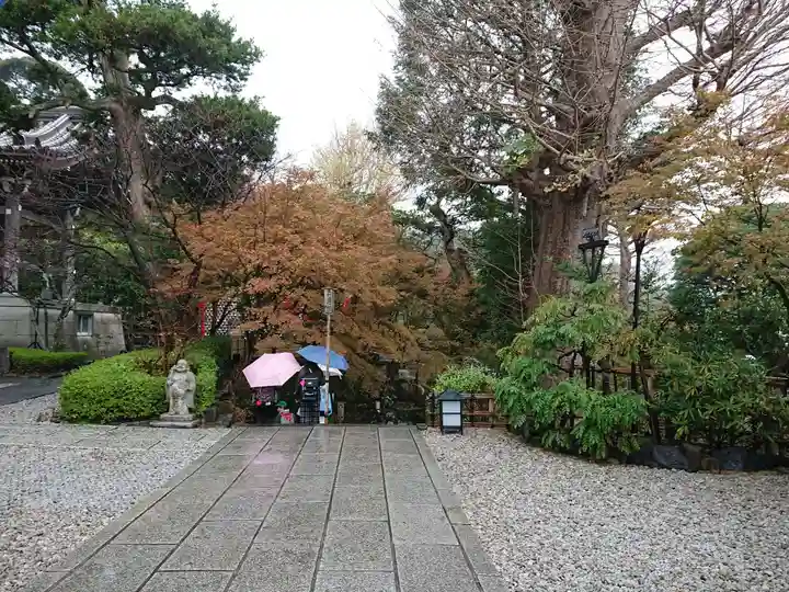 長谷寺のその他建物