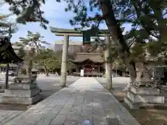 長浜八幡宮(滋賀県)