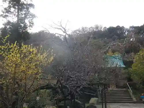 光則寺のその他建物