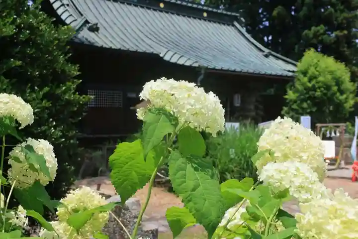 神炊館神社 ⁂奥州須賀川総鎮守⁂の自然