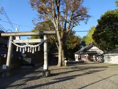 浅間神社の鳥居