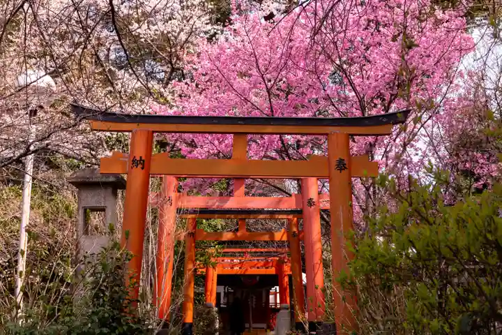 平野神社(京都府)