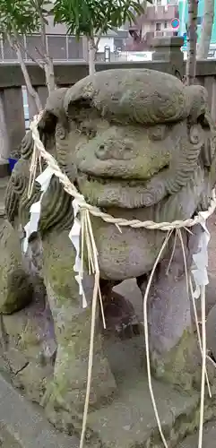 白幡神社の狛犬