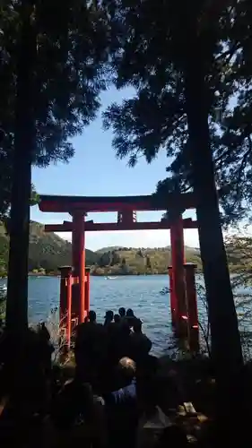 箱根神社の鳥居