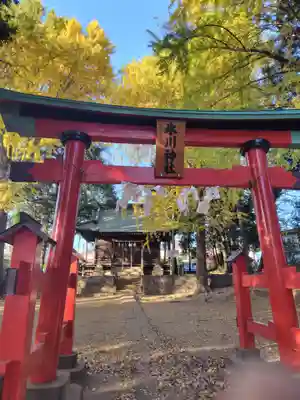 太田窪氷川神社(埼玉県)