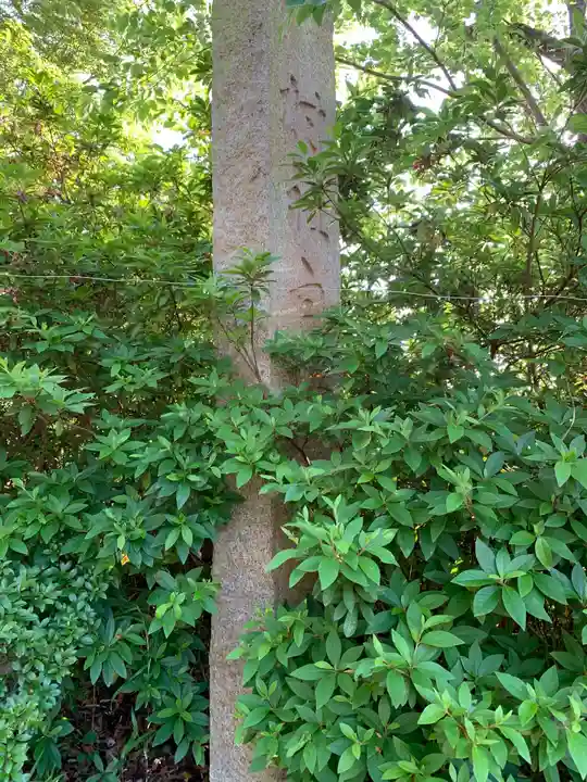 白幡神社のその他建物