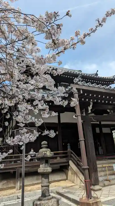 本法寺(京都府)